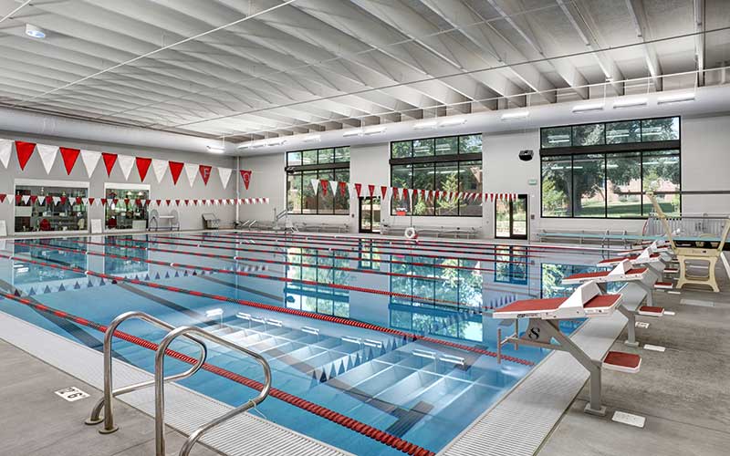 aquatic paradise pools & spas in colorado springs