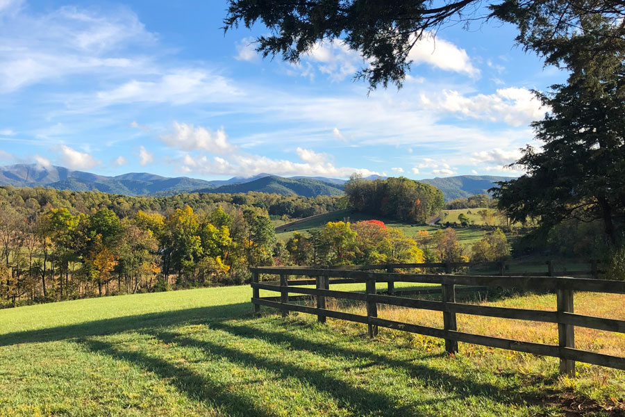 shenandoah valley virginia, the grounds of the inn at forest oaks